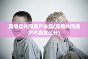 离婚后共同房产未卖(离婚共同房产不卖怎么分)