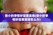 很小的事情吵架要离婚(很小的事情吵架要离婚怎么办)
