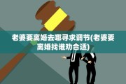 老婆要离婚去哪寻求调节(老婆要离婚找谁劝合适)