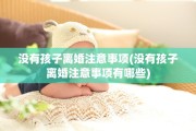 没有孩子离婚注意事项(没有孩子离婚注意事项有哪些)