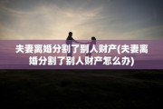 夫妻离婚分割了别人财产(夫妻离婚分割了别人财产怎么办)