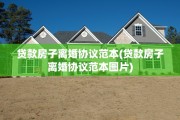 贷款房子离婚协议范本(贷款房子离婚协议范本图片)