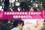 夫妻感情好但想离婚(夫妻感情好但想离婚怎么办)