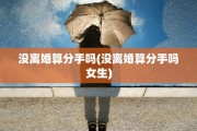 没离婚算分手吗(没离婚算分手吗女生)