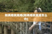 刚再婚就离婚(刚再婚就离婚怎么办)
