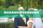 服刑是离婚的(服刑是离婚的条件吗)