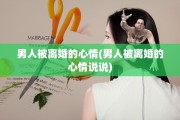 男人被离婚的心情(男人被离婚的心情说说)