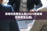 离婚抚养费怎么算(2025年离婚抚养费怎么算)