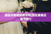 现在办离婚给调节吗(现在离婚还调节吗?)