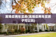 离婚后两年买房(离婚后两年买房子可以吗)