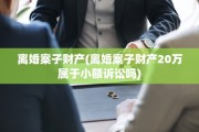 离婚案子财产(离婚案子财产20万属于小额诉讼吗)