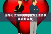 因为无法贷款离婚(因为无法贷款离婚怎么办)
