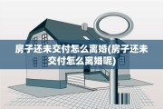 房子还未交付怎么离婚(房子还未交付怎么离婚呢)