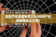 共同产权房离婚怎么分(共同产权房离婚怎么分割)