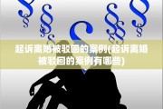 起诉离婚被驳回的案例(起诉离婚被驳回的案例有哪些)