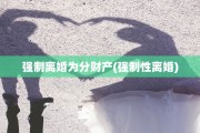 强制离婚为分财产(强制性离婚)