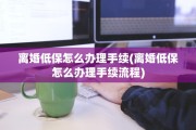 离婚低保怎么办理手续(离婚低保怎么办理手续流程)
