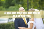 老婆闹离婚要(老婆闹离婚要冷静多久才去理对方)
