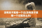 没有孩子离婚一个过(没有孩子离婚一个过程怎么办)