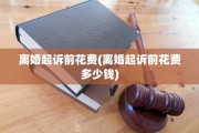 离婚起诉前花费(离婚起诉前花费多少钱)