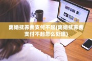 离婚抚养费支付不起(离婚抚养费支付不起怎么处理)
