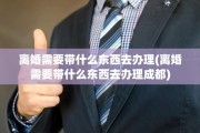 离婚需要带什么东西去办理(离婚需要带什么东西去办理成都)