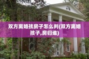 双方离婚孩房子怎么判(双方离婚孩子,房归谁)