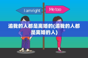 追我的人都是离婚的(追我的人都是离婚的人)