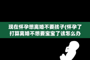 现在怀孕想离婚不要孩子(怀孕了打算离婚不想要宝宝了该怎么办)