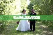 老公承认出轨要离婚