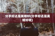 分手好还是离婚好(分手好还是离婚好呢)