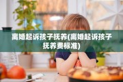 离婚起诉孩子抚养(离婚起诉孩子抚养费标准)