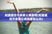和婆婆合不来老公要离婚(和婆婆合不来老公要离婚怎么办)