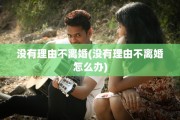 没有理由不离婚(没有理由不离婚怎么办)