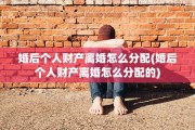 婚后个人财产离婚怎么分配(婚后个人财产离婚怎么分配的)
