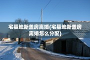 宅基地新盖房离婚(宅基地新盖房离婚怎么分配)