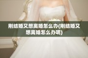 刚结婚又想离婚怎么办(刚结婚又想离婚怎么办呢)
