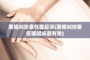 离婚纠纷案在哪起诉(离婚纠纷案在哪起诉最有效)