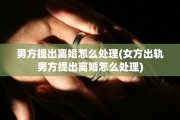 男方提出离婚怎么处理(女方出轨男方提出离婚怎么处理)