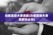 劝解离婚夫妻调解(劝解离婚夫妻调解协议书)