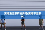 离婚没分家产的多吗(离婚不分家产)