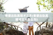 老婆出轨离婚才三天(老婆出轨离婚才三天怎么办)