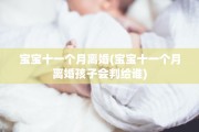 宝宝十一个月离婚(宝宝十一个月离婚孩子会判给谁)