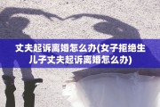 丈夫起诉离婚怎么办(女子拒绝生儿子丈夫起诉离婚怎么办)