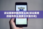 诉讼离婚的程序怎么走(诉讼离婚的程序怎么走多少天能办完)