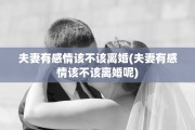 夫妻有感情该不该离婚(夫妻有感情该不该离婚呢)