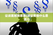 讼诉离婚啥意思(诉讼离婚什么意思?)