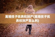 离婚孩子抚养权财产(离婚孩子抚养权财产怎么判) 离婚孩子抚养权财产(离婚孩子抚养权财产怎么判)