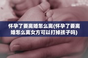 怀孕了要离婚怎么离(怀孕了要离婚怎么离女方可以打掉孩子吗)