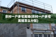 农村一户多宅离婚(农村一户多宅离婚怎么分配)